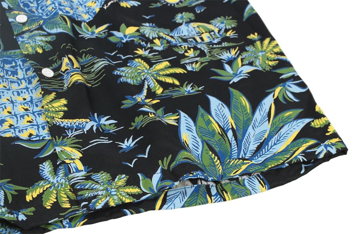 画像8: Kona Bay Hawaii (8)