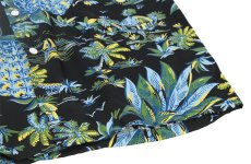 画像8: Kona Bay Hawaii (8)