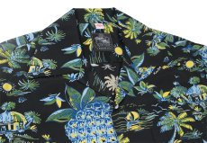 画像5: Kona Bay Hawaii (5)